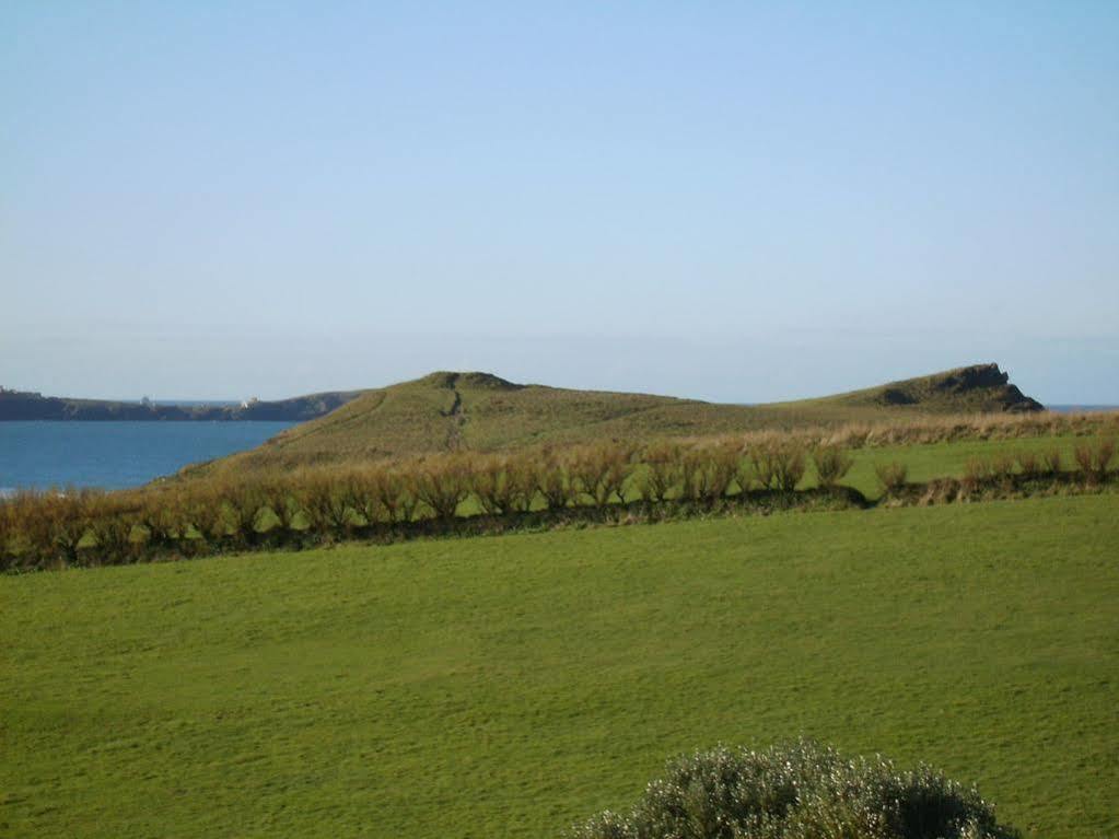 Porth Beach Hotel New Quay Esterno foto